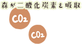 森が二酸化炭素を吸収
