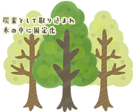 炭素として取り込まれ木の中に固定化