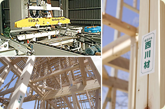 自然の木材を1本1本、強度を測定します