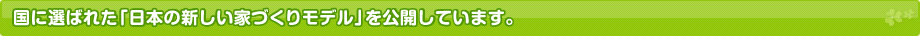 「日本の新しい家づくりモデル」を公開しています