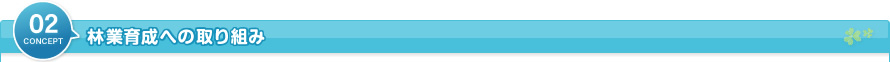 林業育成への取り組み