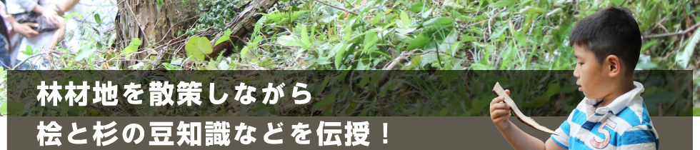 林材地を散策しながら桧と杉の豆知識などを伝授！