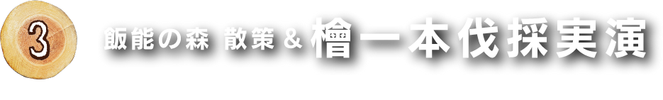 飯能の森 散策＆檜一本伐採実演