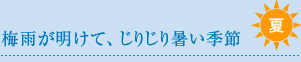 梅雨が明けて、じりじり暑い季節