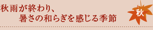 秋雨が終わり、
暑さの和らぎを感じる季節