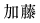 加藤