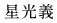 星光義
