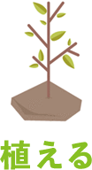 植える
