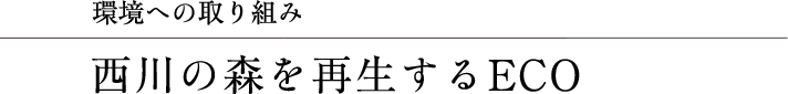 環境への取り組み　西川の森を再生するECO