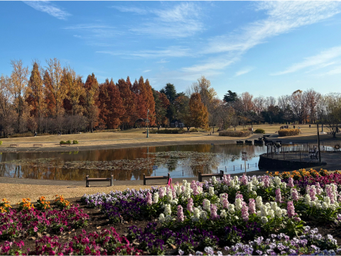 埼玉県営彩の森入間公園
