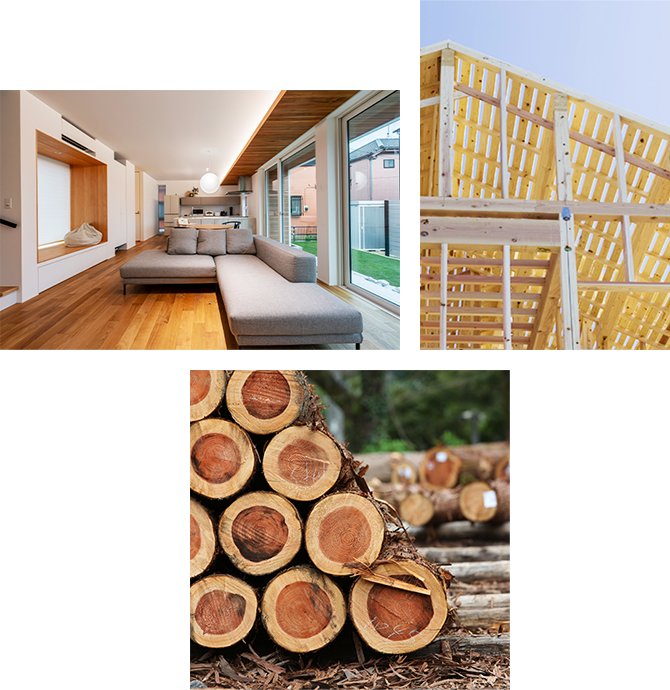 人にやさしく、地球にやさしく、そして、50年後も資産として価値の残る家