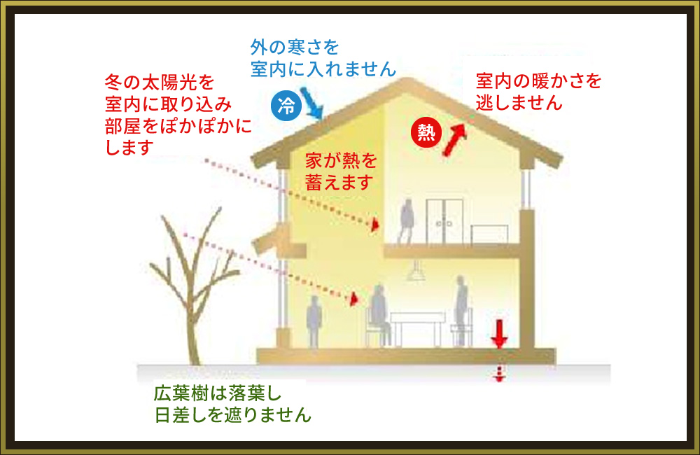 太陽の熱を取り込む