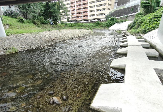 ★入間の魅力～夏が待ち遠しくなる、かすみ川のある暮らし