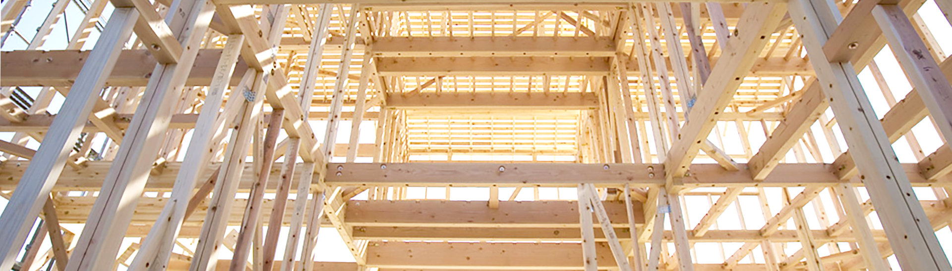 大地震から家族を守る家