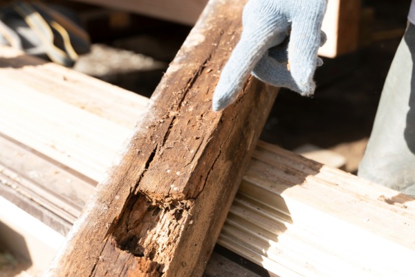 白アリ対策は、「入ってから」では遅い