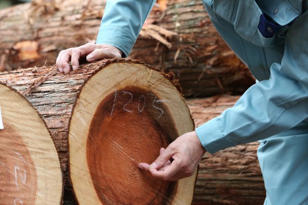 木を知る人の視点から考える、家の寿命
