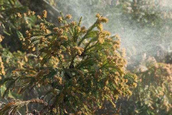 吸う前に、汚れを入れない