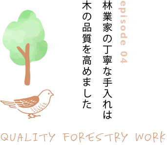 episode04 ыƉƂ̒JȎ͖؂̕i߂܂ QUALITY FORESTRY WORK